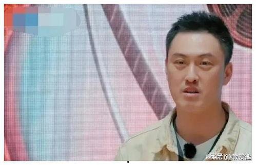 娱乐圈吃瓜男的,揭秘明星背后的故事与八卦